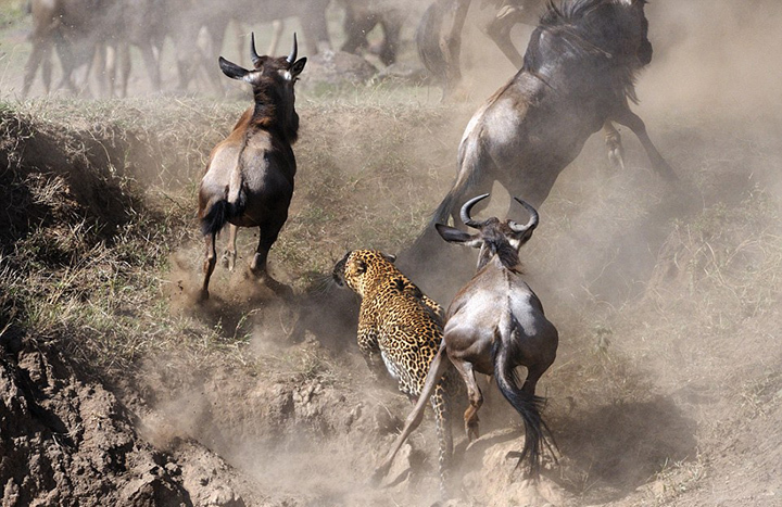 信貸業(yè)扣人心弦的斗爭 信貸業(yè)扣人心弦的斗爭