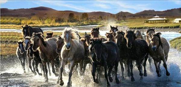 1500430987823241.jpg 8d0faeb450211952497c9b49fc2e8e4f.jpg