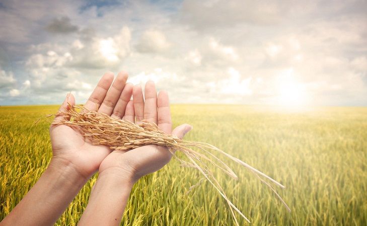 1516095771112450.jpg 1516095771112450.jpg