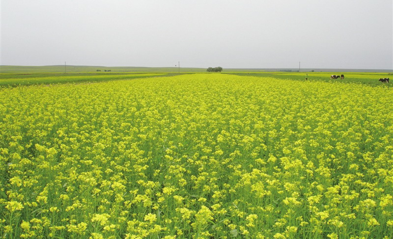 小微企業(yè)貸款