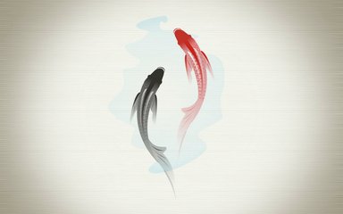 貸款錦鯉 貸款錦鯉