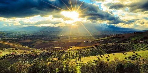 1545991369131763.jpg t0130f7fe39bbbfbdcd.jpg