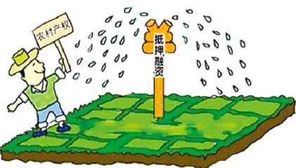 1545991389532303.jpg t010cd2f3d442711259.jpg