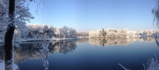 北京城降雪 北京城降雪