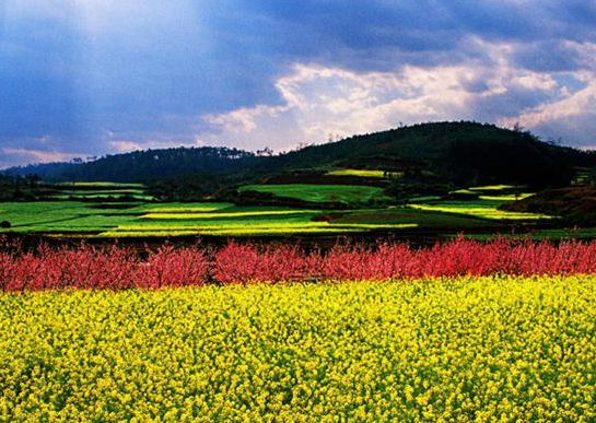 涉農(nóng)貸款貼息 涉農(nóng)貸款貼息