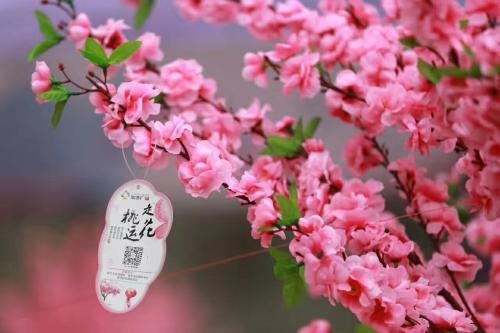 1560248114124026.jpg 05.jpg