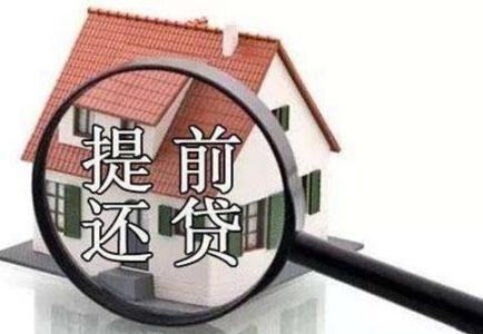 1568715263604252.jpg 04.jpg