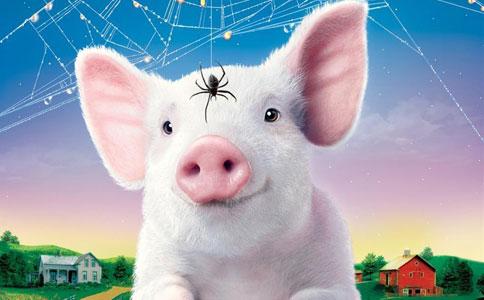 1571652794651974.jpg u=2756197031,2883271027&fm=26&gp=0 (1).jpg