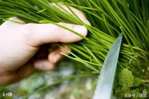 1571736668813601.jpg 2.jpg