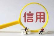 信用貸款辦理前，借款人可先自查這5項征信內(nèi)容！